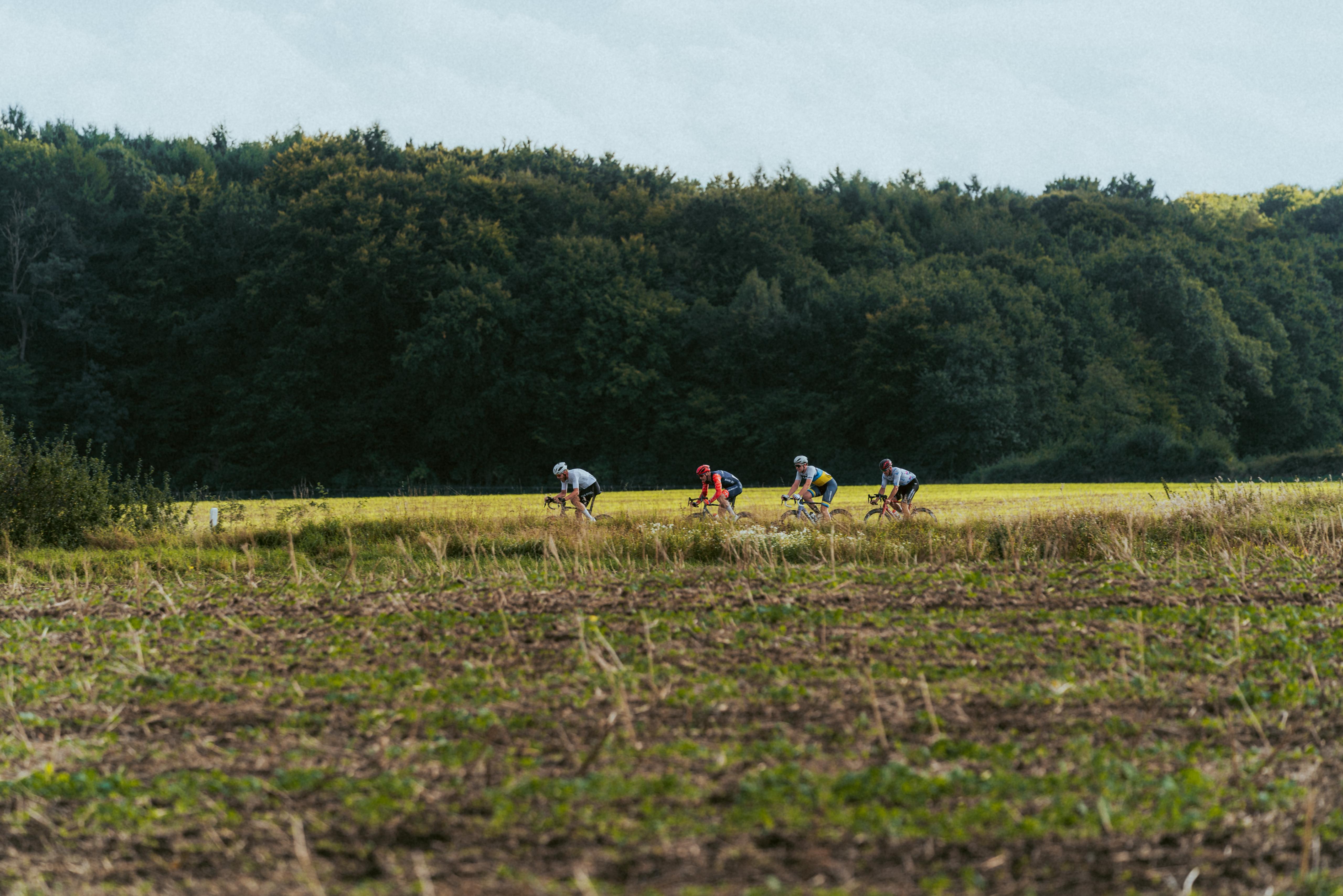 Feld in Landschaft